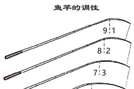 达瓦天弓鱼竿什么调性