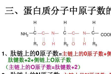 肽键的氮原子上必须有氢吗