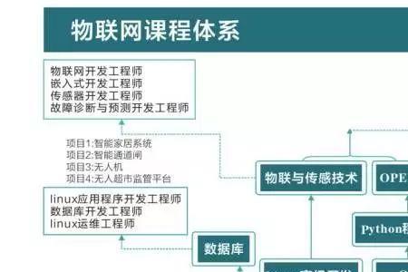 物联网专业选修应该选什么