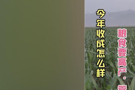 家有良田万顷出自哪里