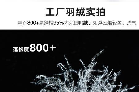 90白鸭绒和80白鸭绒的区别大吗