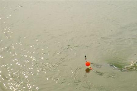 水怪野钓鲢鳙的最佳时间