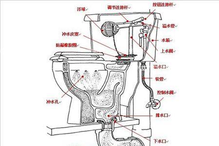 坐便器下水原理