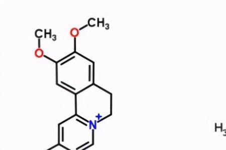 叶青素和叶绿素的区别