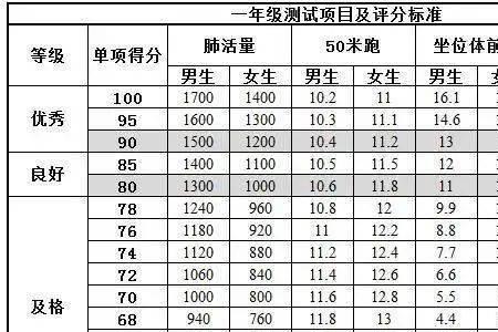 国测体育成绩怎么查