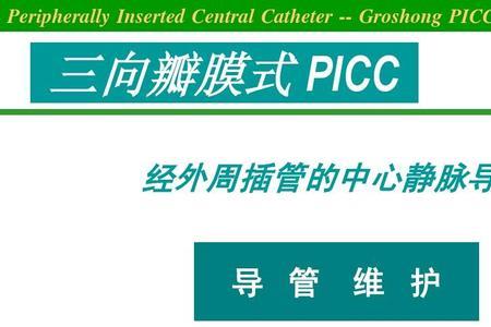 pciicn能组成什么单词