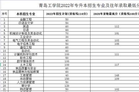 青岛学院是公办还是民办