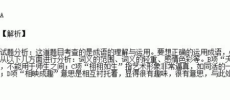 和黄金搭档相近的成语