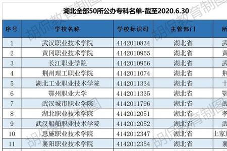 湖北民办专科可以上吗