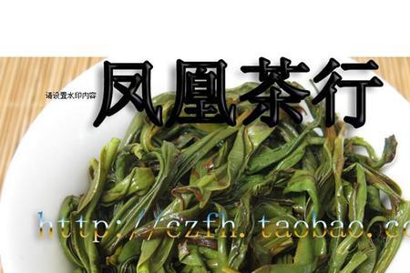 一斤凤凰茶叶能泡几次