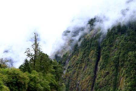 高山林立什么意思