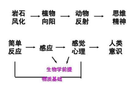 人类的思想意识原理