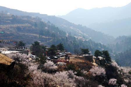 太原市万柏林区景点排名