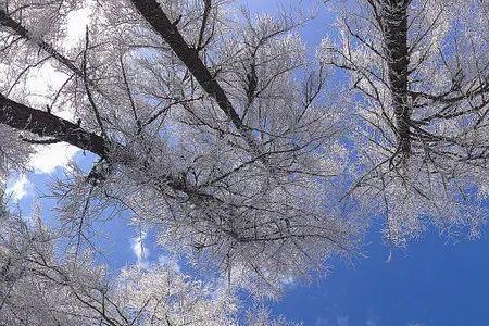 天阴欲雪的对偶句