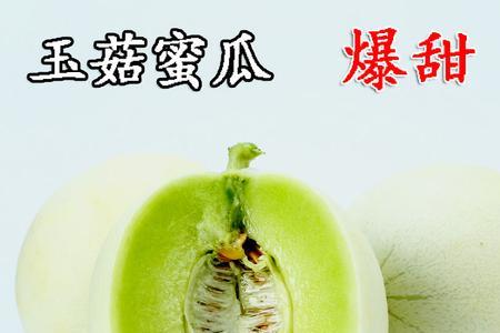 玉菇甜瓜和网纹瓜区别