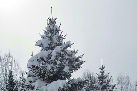 大地被大雪覆盖怎么形容