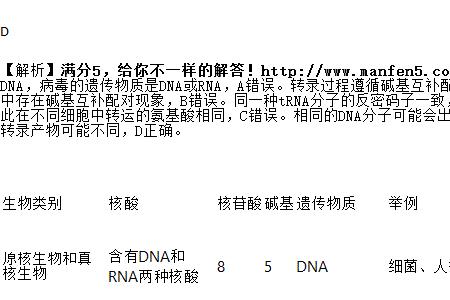 Dna和rna的全称分别是什么