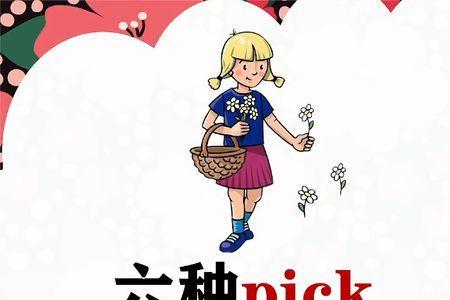 pick中文意思是什么