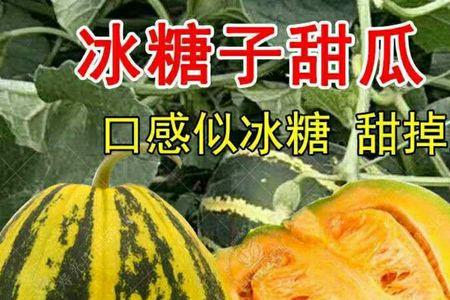 3月份成熟的瓜果蔬菜