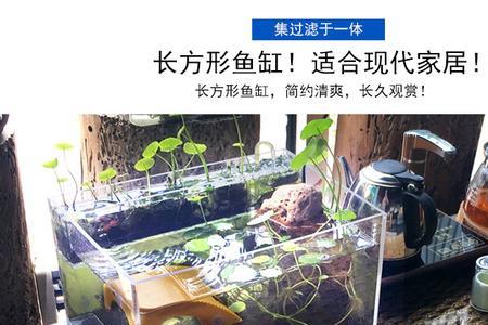 小型龟缸造景抽水泵如何摆放