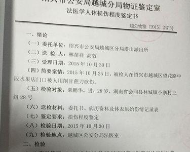 伤情鉴定机构是怎么划分的