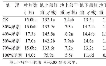 进水碳氮比是多少合适