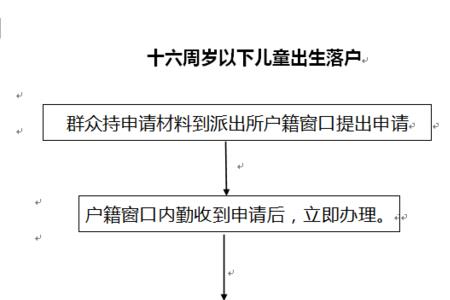 出生申报申请是什么