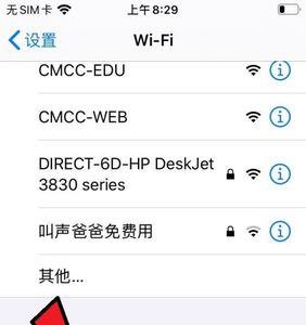 iPhone怎么让热点开着却不显示出来