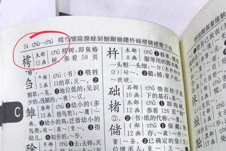 严字字典怎么查