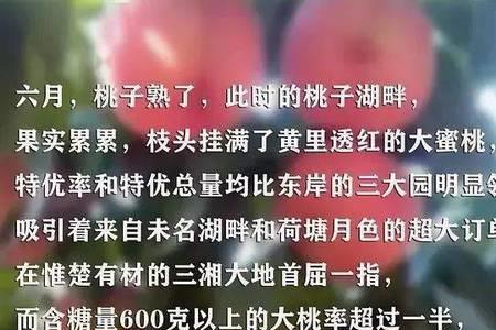 形容桃李果实累累的诗句