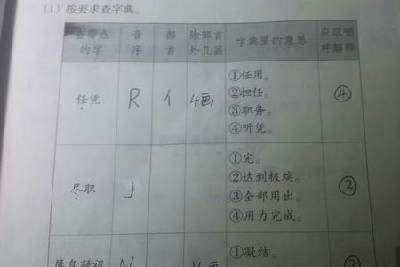 匹查字典先查什么