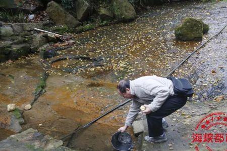 重庆周边哪里可以接山泉水