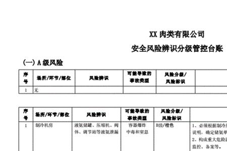 安全风险top5管控什么意思