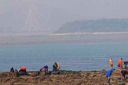 唐岛湾5号口赶海具体路线