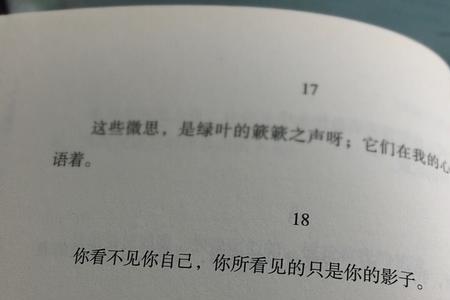 满脑子是你的影子是什么意思