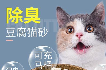 猫吃豆腐猫砂怎么阻止