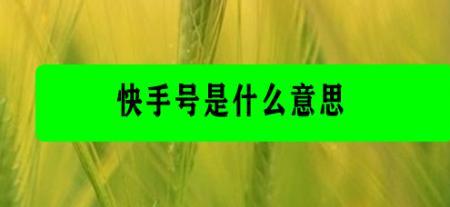 快手连麦的符号是什么