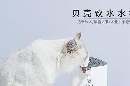 猫咪自动饮水机多久换次水