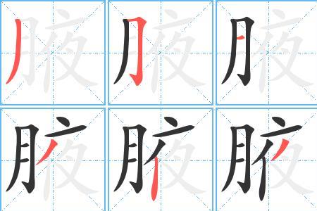 月字旁笔顺