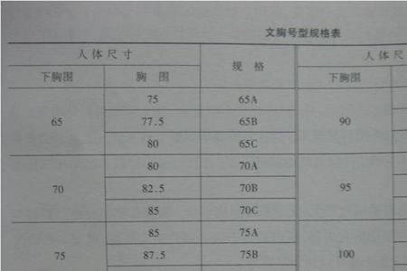 110胸围是多大尺码