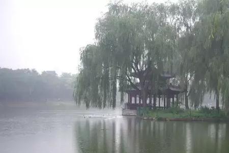 雨中的雨和中的读音