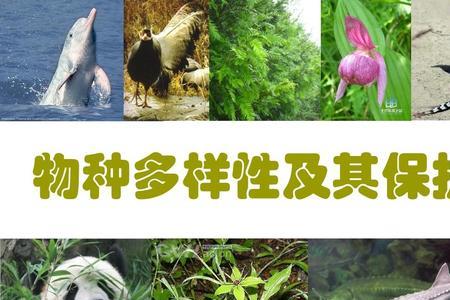 小学科学保护生物多样性的措施