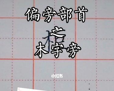 揖去掉偏旁加上木念什么