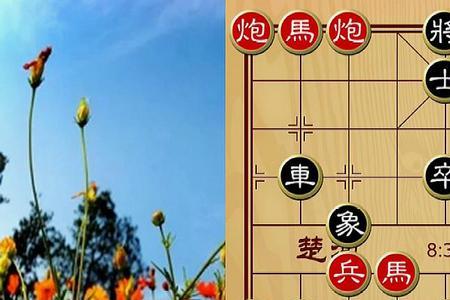 象棋是马好还是炮好