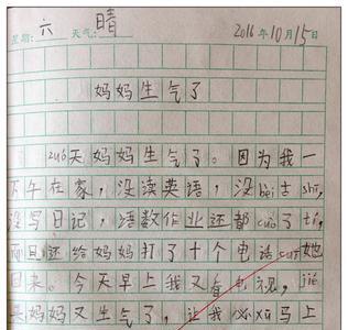 周记小学生二年级怎么写