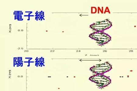 qst是什么网络意思