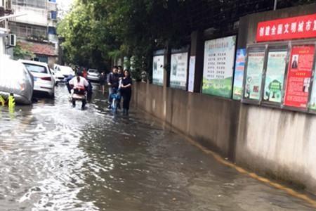 雨后积水的诗句