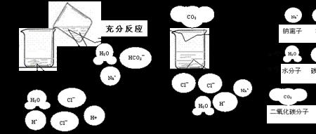 反应的实质是什么