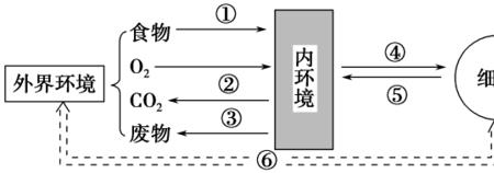 内环境实质