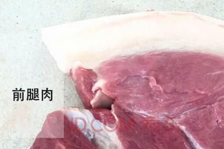 猪腿前腿肉多还是后腿肉多